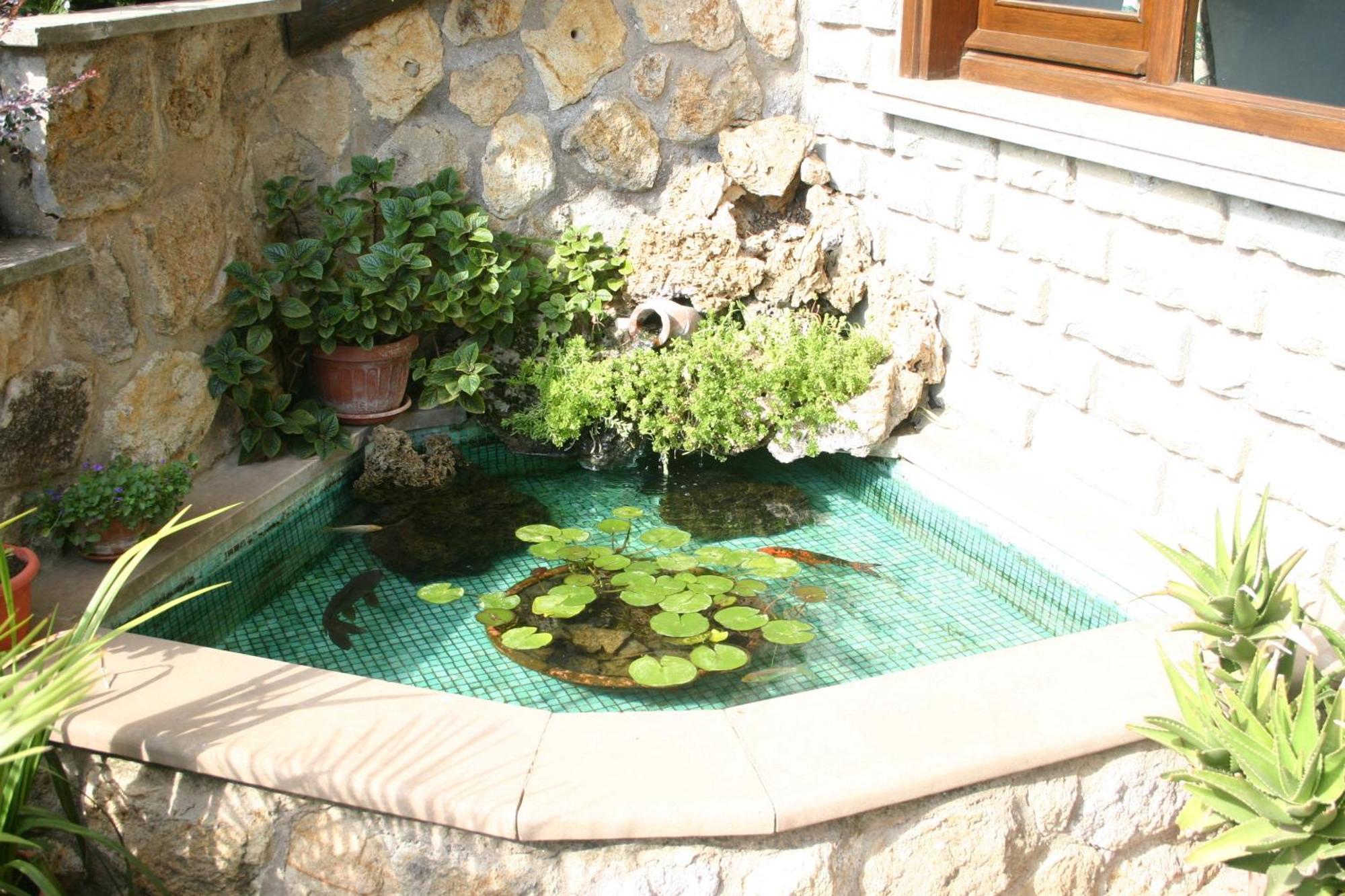 B&B Le Palme Bassano Romano Kültér fotó